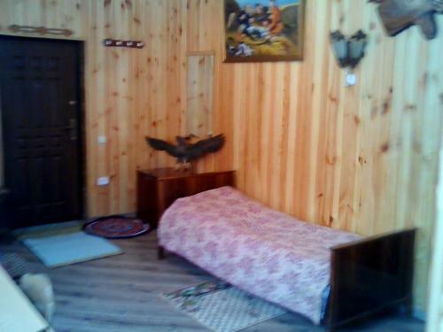 Hostal Tsarikova House
