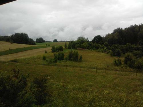 Apartamento Agrousadba Dom Lesnika