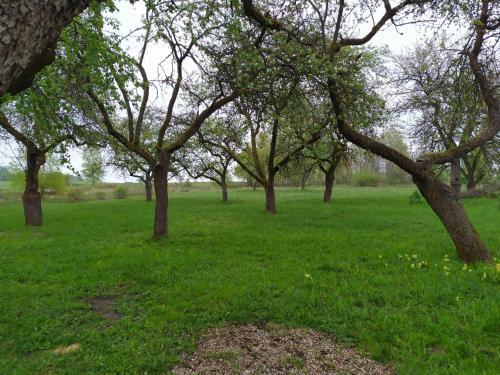 Agroturismo Farm Stay Pomiana