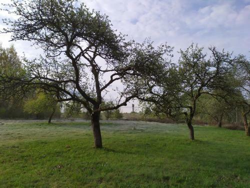 Agroturismo Farm Stay Pomiana