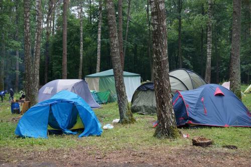 Albergue Baza Otdykha "kedrovyy Bor"