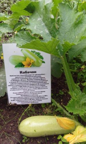 Agroturismo Kak Zhe Zdes Khorosho