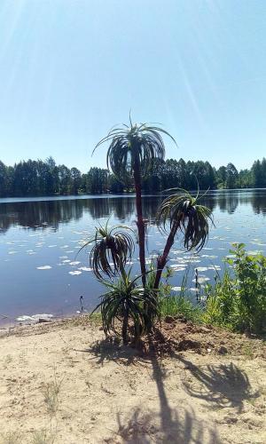 Agroturismo Kak Zhe Zdes Khorosho
