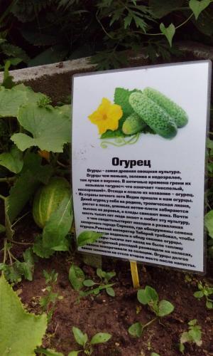 Agroturismo Kak Zhe Zdes Khorosho