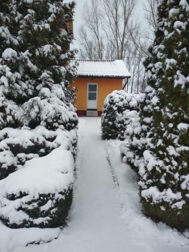 Agrousadba Tsvetochniy Rai