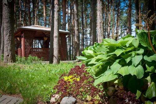 Hotel Baza Otdykha Checheli