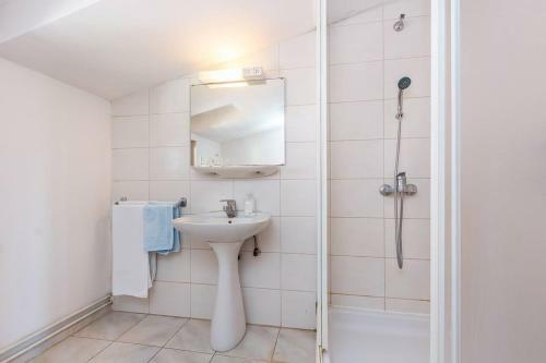 Apartment Branka