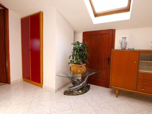 Apartments Munida 734