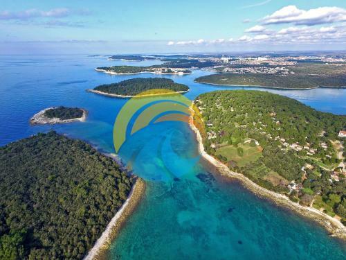 House Doris 1559