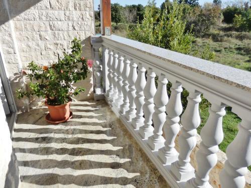 Apartments Snezana