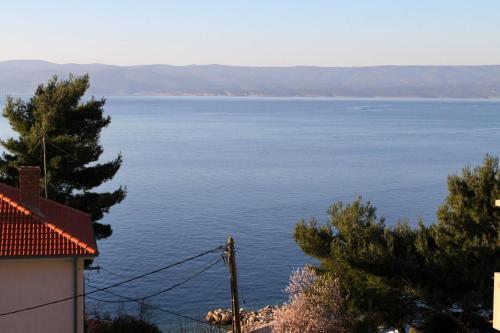 Apartments By The Sea Pisak (omis) - 4815