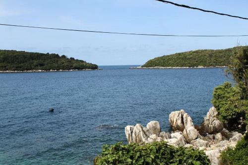 Apartments By The Sea Molunat (Dubrovnik) - 8956