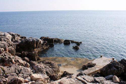 Apartamentos Studio Molunat 14613b