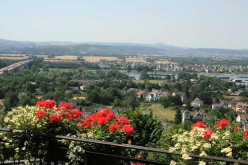 Berghotel Rheinblick