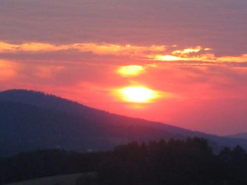Apartamento Wellness Ferienwohnungen Zellertalblick