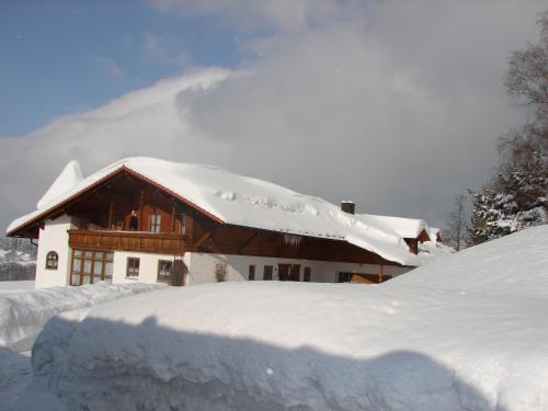 Apartamento Wellness Ferienwohnungen Zellertalblick