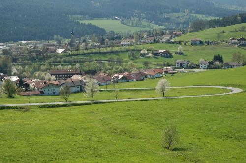 Apartamento Wellness Ferienwohnungen Zellertalblick