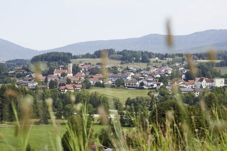 Hotel Falter