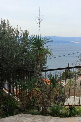 Apartments By The Sea Pisak (omis) - 9456