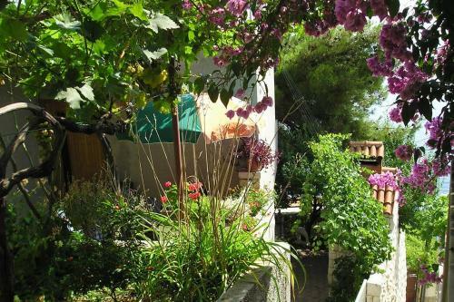 Apartments By The Sea Pisak (omis) - 2802