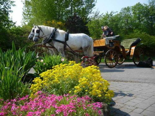 Hotelanlage Country Lodge
