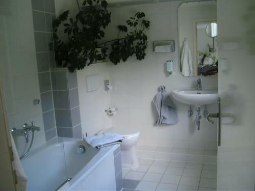 Hotel Ambiente