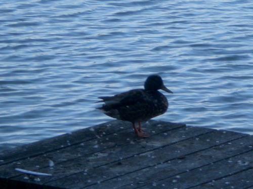 Hotel F�hrkrug