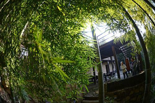 Prodigy Hostel Mogan Mountain