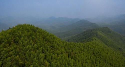 Prodigy Hostel Mogan Mountain
