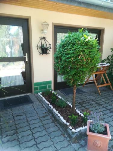 Hostal Hotel L�wenhof