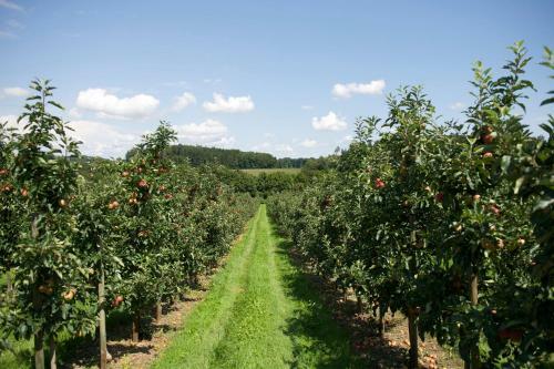 Ringhotel Krone