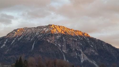 Hotel Steffl