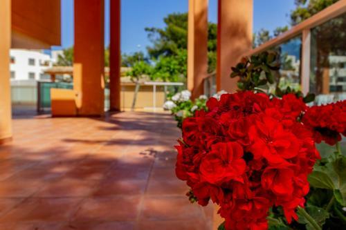 Apartamento Realrent Mirador Al Mar
