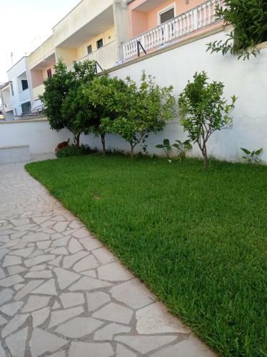 Hostal B&B Paradise