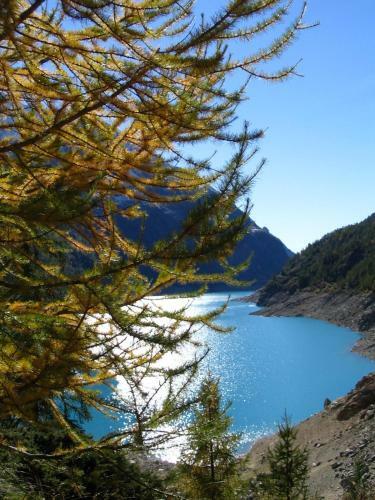 Apartamento Appartamenti Luseney