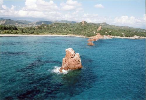 Bed & Breakfast La Pavoncella