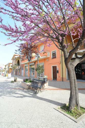 Bed & Breakfast Il Leccio