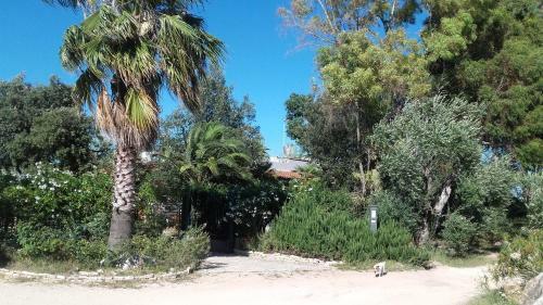 Agroturismo Agriturismo Le Vedute