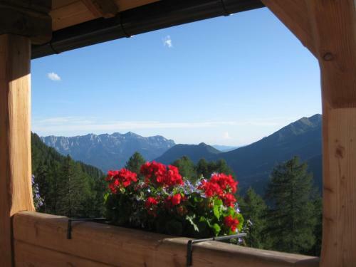Hostal Affittacamere Villa Sole