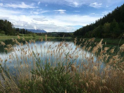 Pineta Hotels Nature Wellness Resort