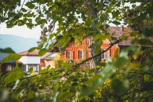 Pineta Hotels Nature Wellness Resort