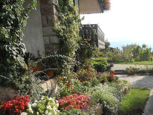 Apartamento Casa Fiorita