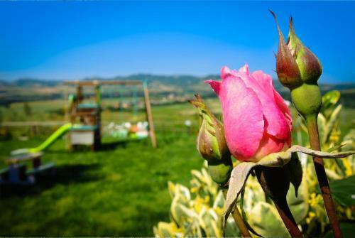 Agroturismo Agriturismo Il Canterino