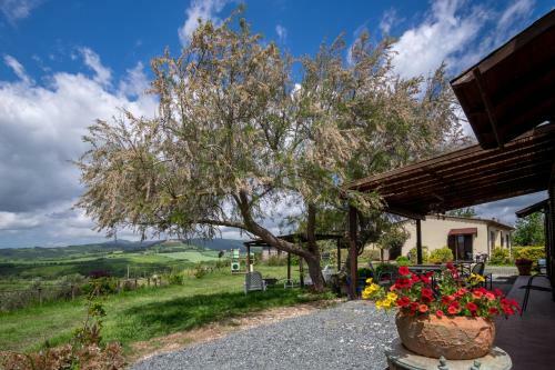 Agroturismo Agriturismo Il Canterino