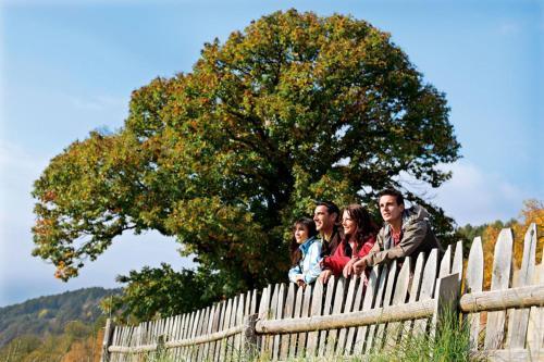 Agroturismo Mantingerhof