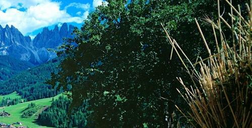 Apartamento Galreidhof