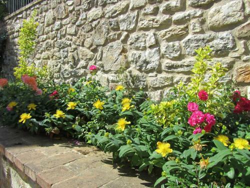 Agroturismo Agriturismo Borghetto Il Montino