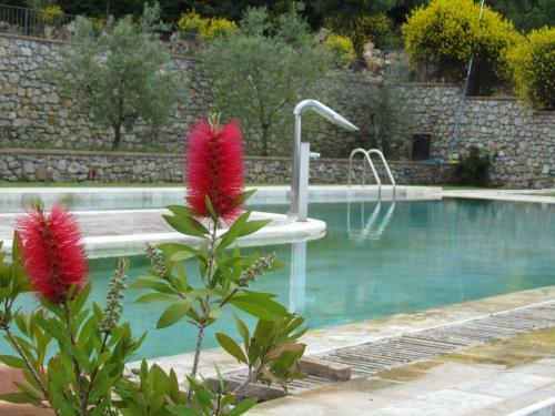 Agroturismo Agriturismo Borghetto Il Montino