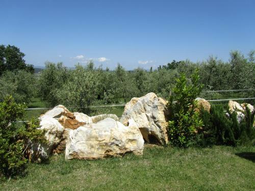 Agroturismo Agriturismo Borghetto Il Montino