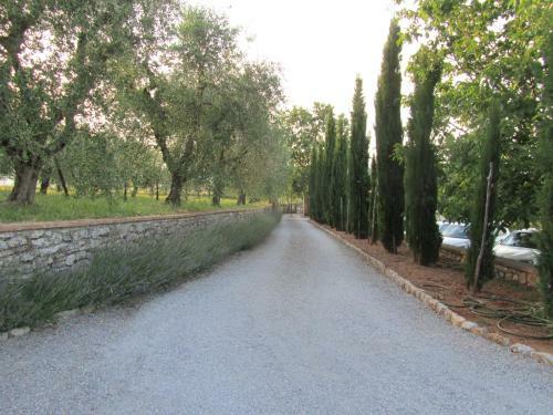 Agroturismo Agriturismo Borghetto Il Montino